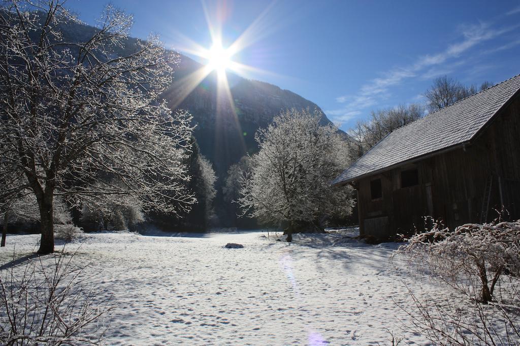 La Clairiere Du Moulin Panzió Lepin-le-Lac Kültér fotó