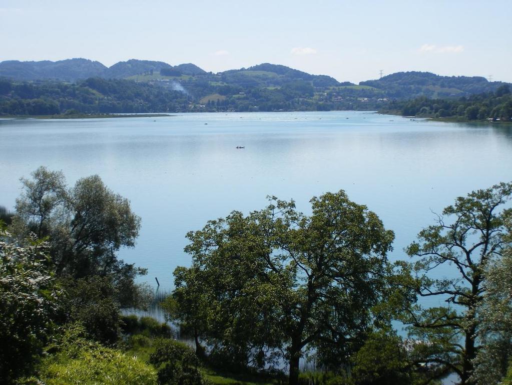 La Clairiere Du Moulin Panzió Lepin-le-Lac Kültér fotó